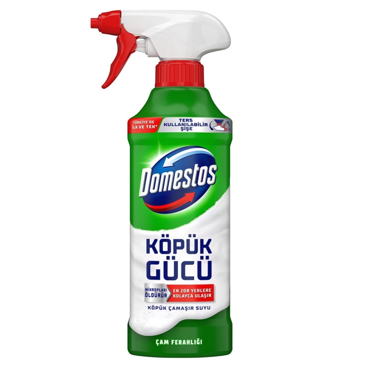 DOMESTOS KÖPÜK GÜCÜ ÇAM 450 ml