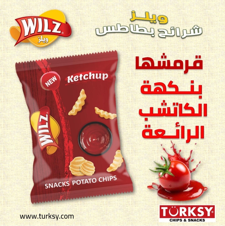 WILZ KETCHUP 32 G