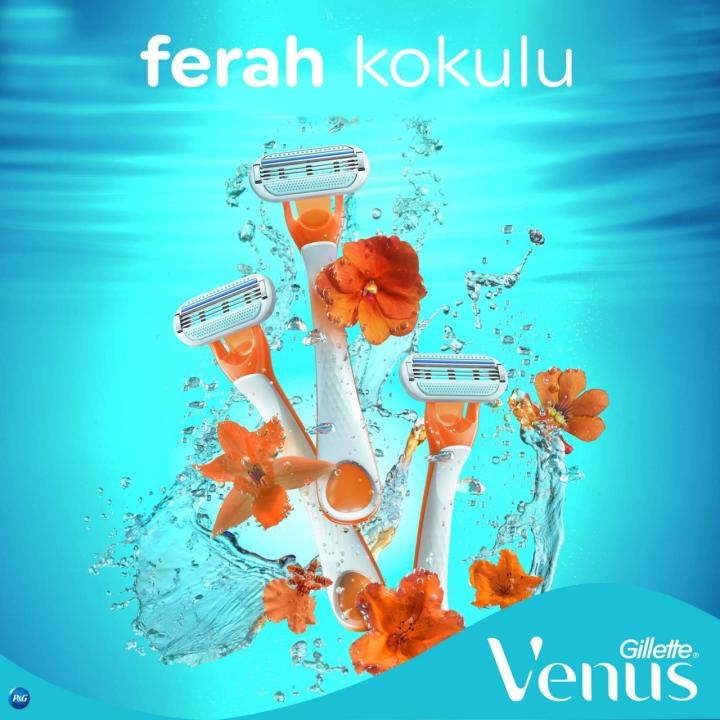 34151313_7-1f5622-1650x1650