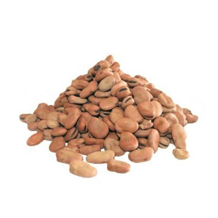 فول يابس حبة صغيرة 1000 غرام
