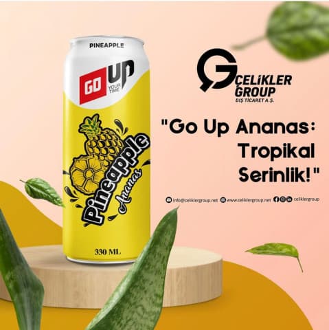 GO UP ANANAS 330 ml