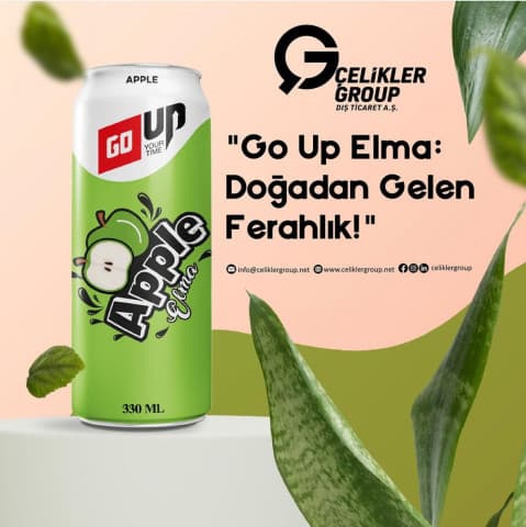 GO UP ELMA 330 ml