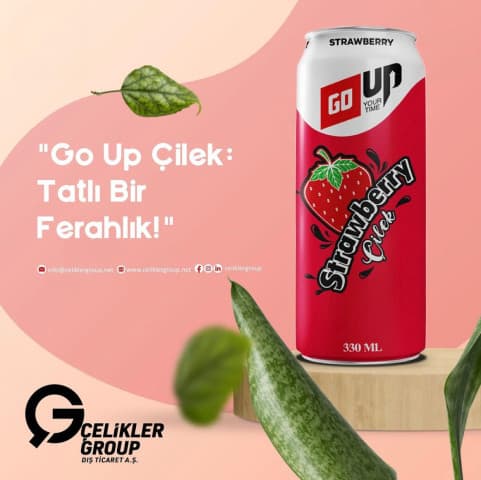GO UP ÇİLEK 330 ml