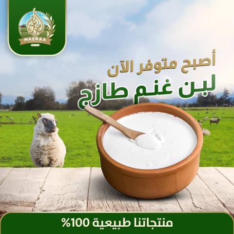 لبن غنم بلدي صافي 100 % 1 كيلو