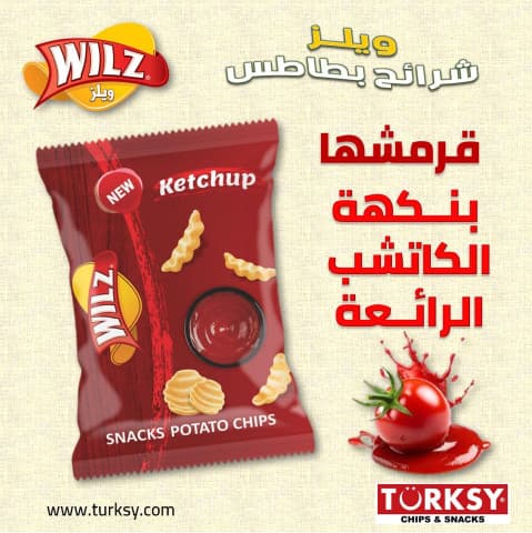 WILZ KETCHUP 32 G