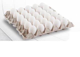 الفطور والأجبان والألبان وحبوب الفطور