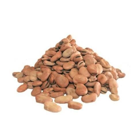 فول يابس حبة صغيرة 1000 غرام
