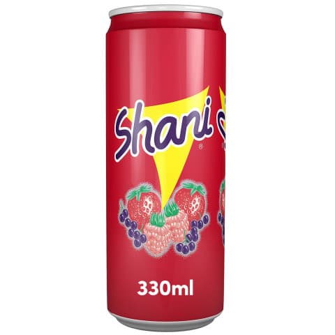 SHANİ FRUIT FLAVOR DRINK 250 ml