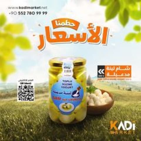 شام لبنة مدعبلة بالنعنع 600 غرام